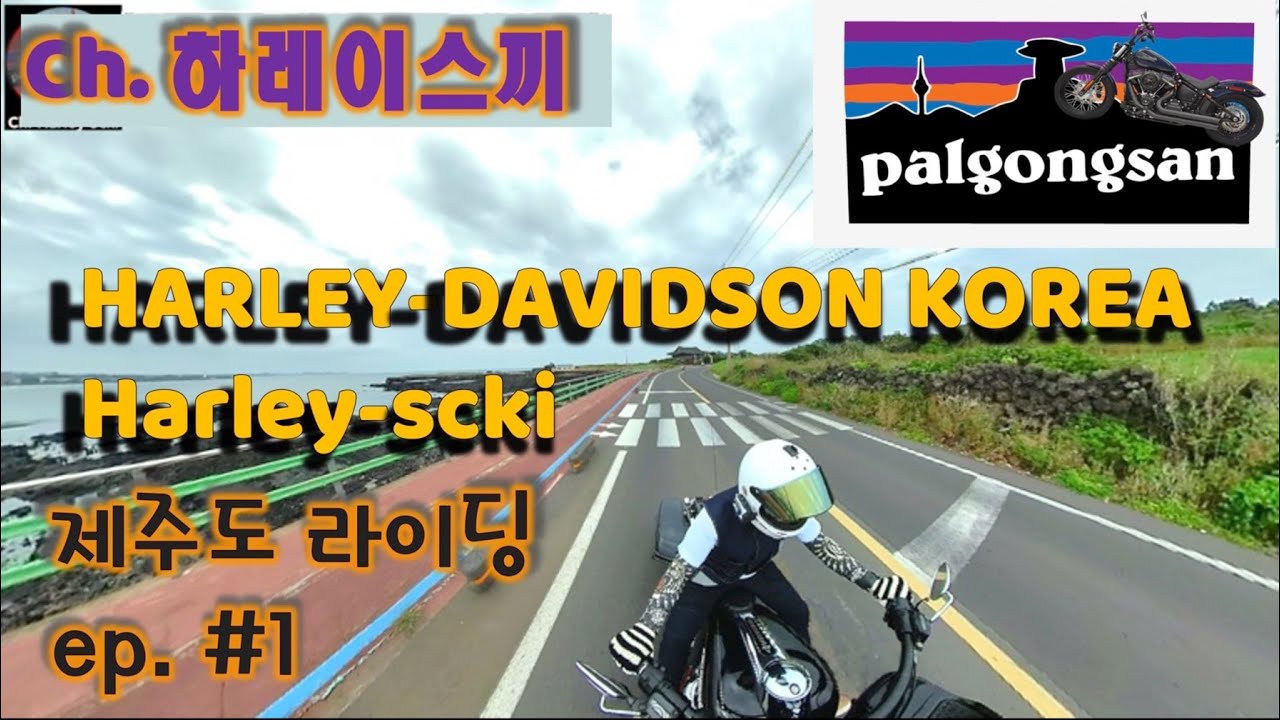 [할리데이비슨 대구점] [하레이스끼] - [제주 라이딩 1편] 할리로 제주 라이딩 직접 다녀왔습니다!!! 어서 구경 갑서~!
