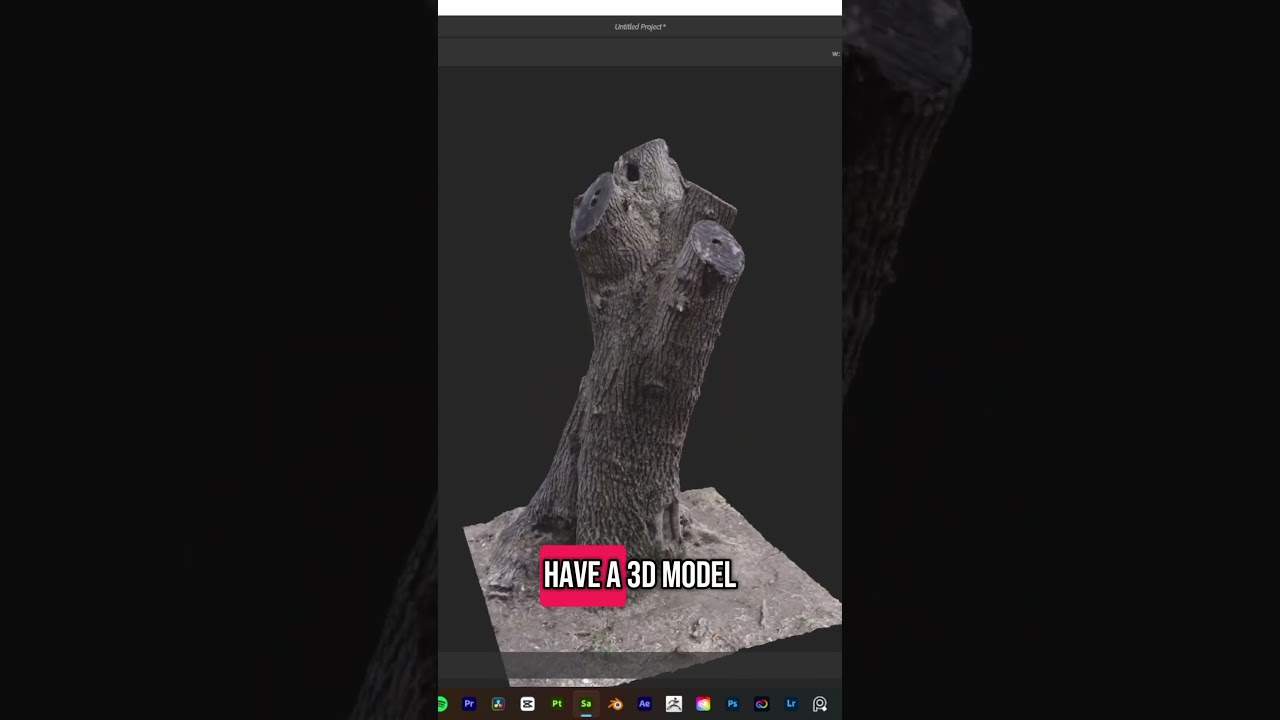 Using photogrammetry to capture this tall tree stump #vfx #photogrammetry