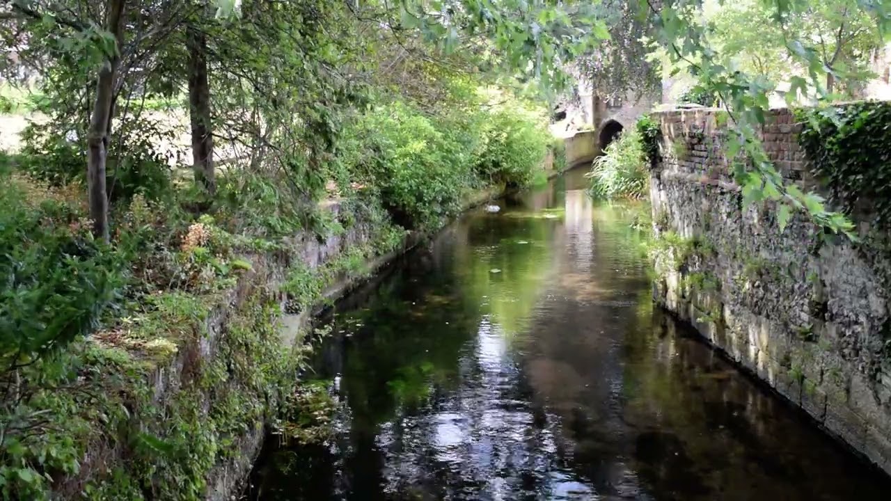 Looking down the Stour towards the Greyfriars Chapel