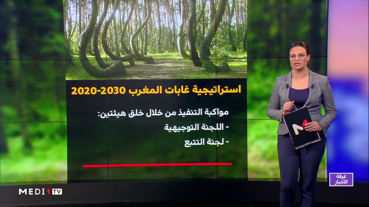 شاشة تفاعلية.. استراتيجية غابات المغرب 2020-2030