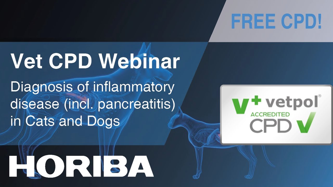Diagnosis of inflammatory disease (inc. pancreatitis) in Cats & Dogs - HORIBA Veterinary CPD Webinar