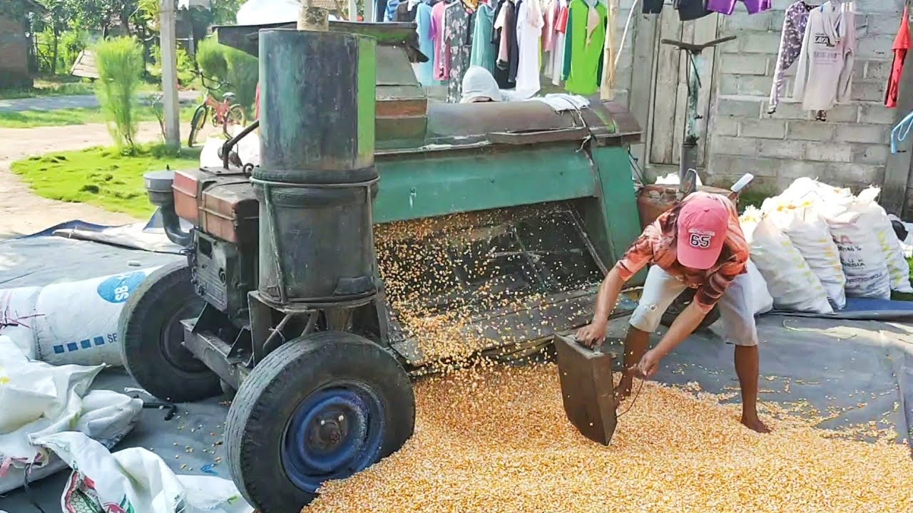 Selep Jagung Tua •••Dos Jagung Keliling