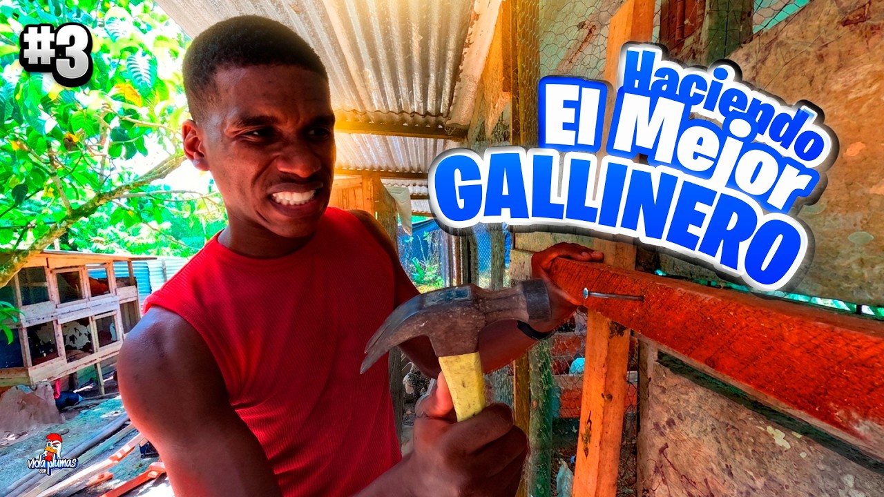 Haciendo mi NUEVO Gallinero 🐔 Parte 3