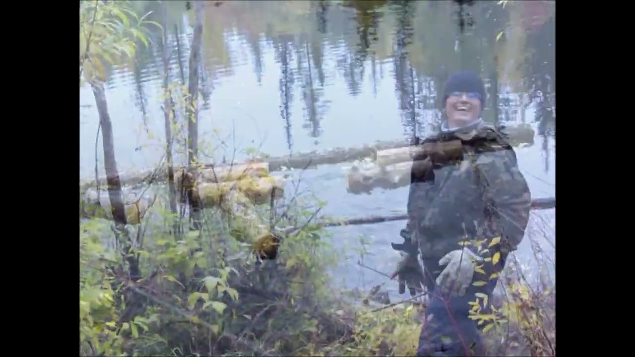 Downriver: floating wood