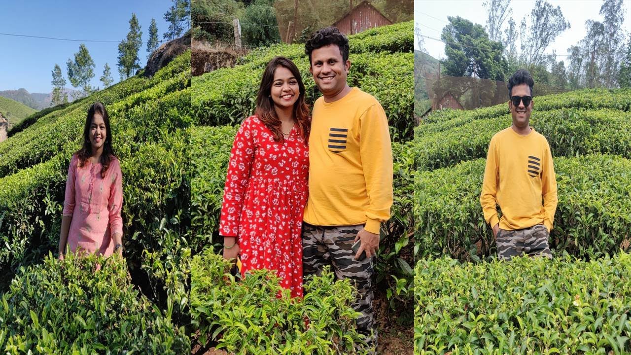 मुन्नारच Famous टाटा टी गार्डन, चहा कसा बनतो ? Tata Tea Garden Munnar Kerala