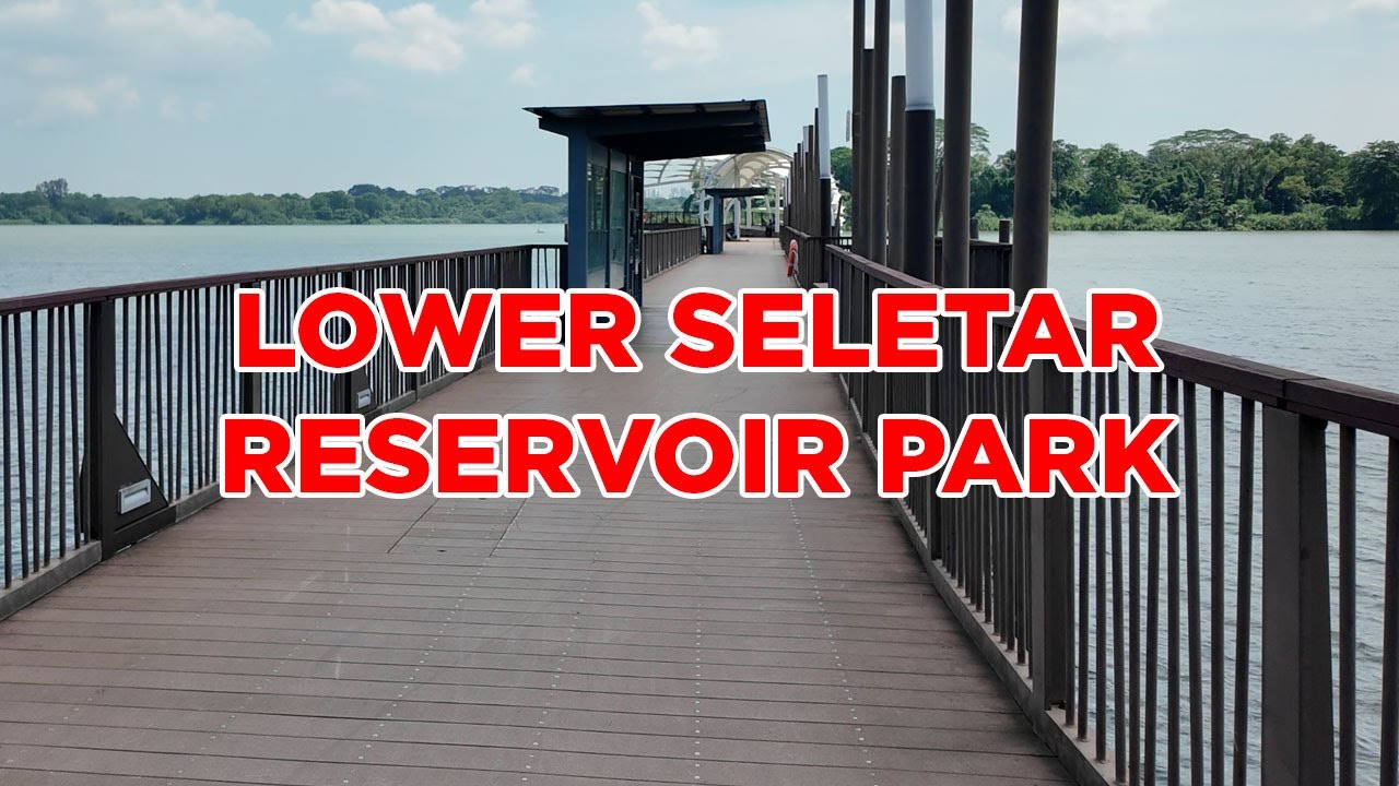 Lower Seletar Reservoir Park || Walking Singapore