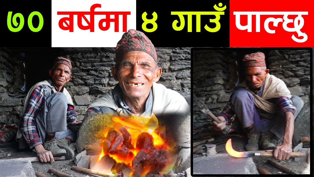पत्याउनुहुन्छ ? ७० बर्षका बाले ४ गाउँ पाल्नुभएको छ ! ७० बर्षे पाखुराको पौरख हेर्नुहोस् ||kiranpaudel