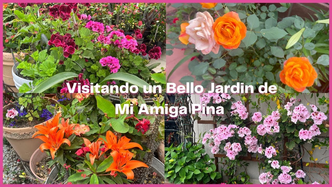 Visitando un Bonito Jardin de mi Amiga Pina