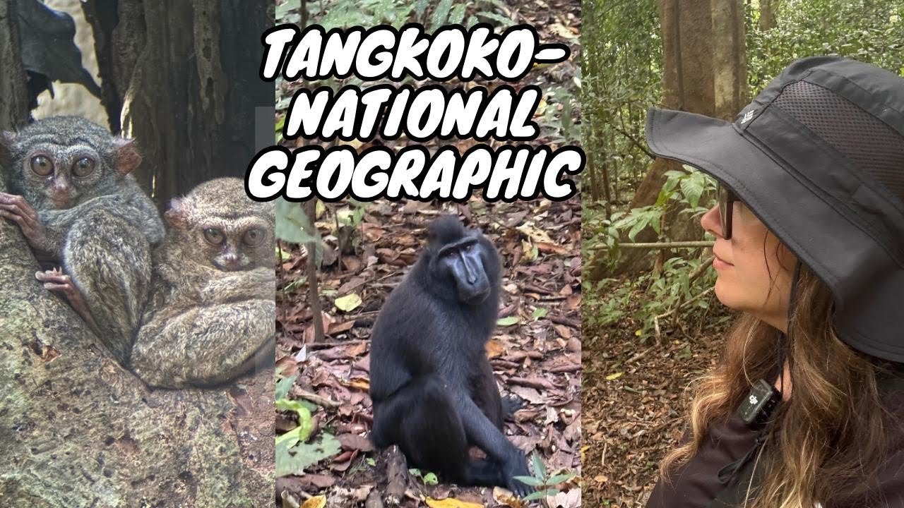 AVENTURA în JUNGLA din TANGKOKO-ANIMALE UNICE pe care nu le VEZI NICĂIERI ALTUNDEVA,North Sulawesi
