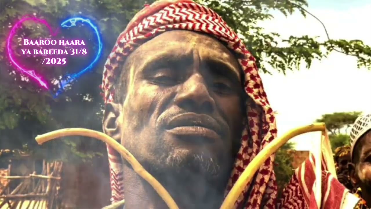 Baaroo haaraya #jamaal_saanii/31/8/2025