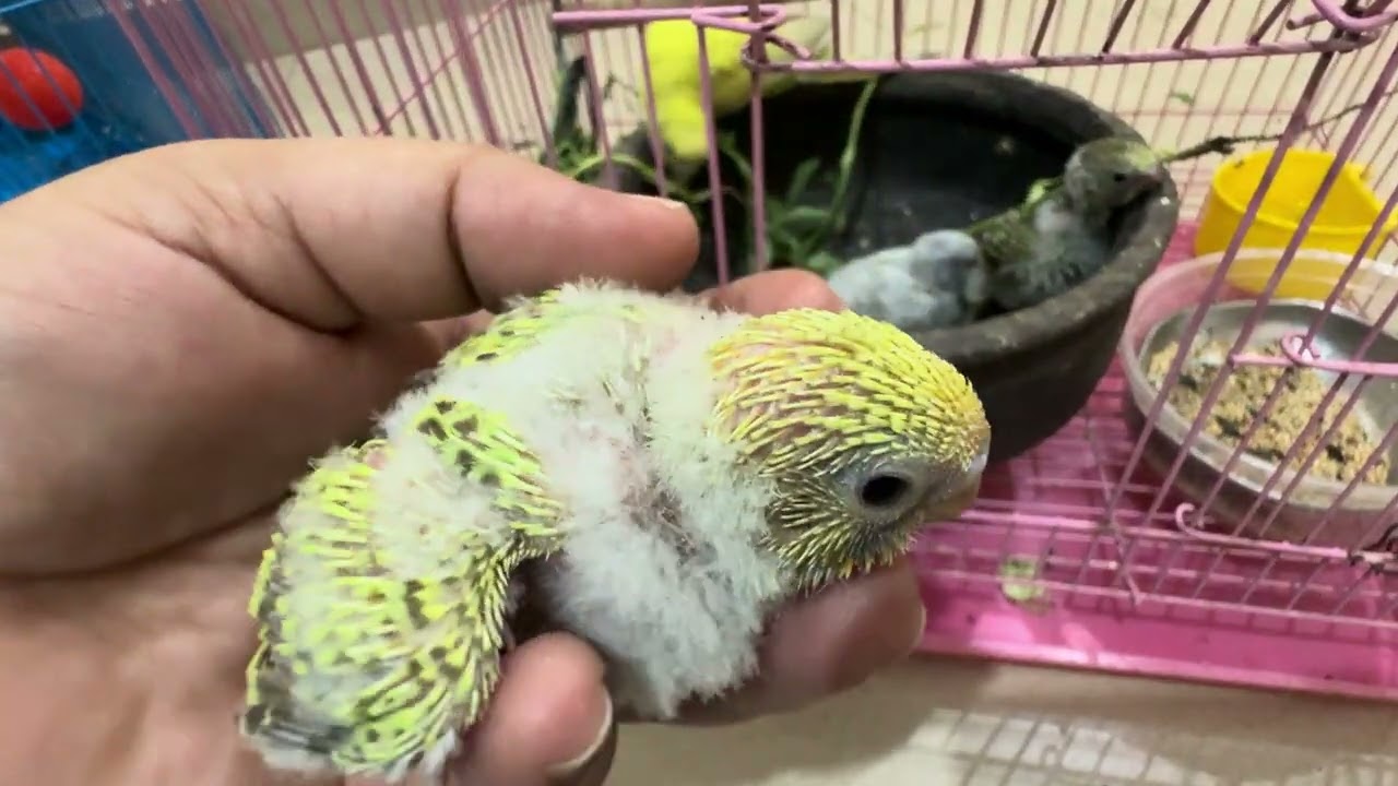 So cute 