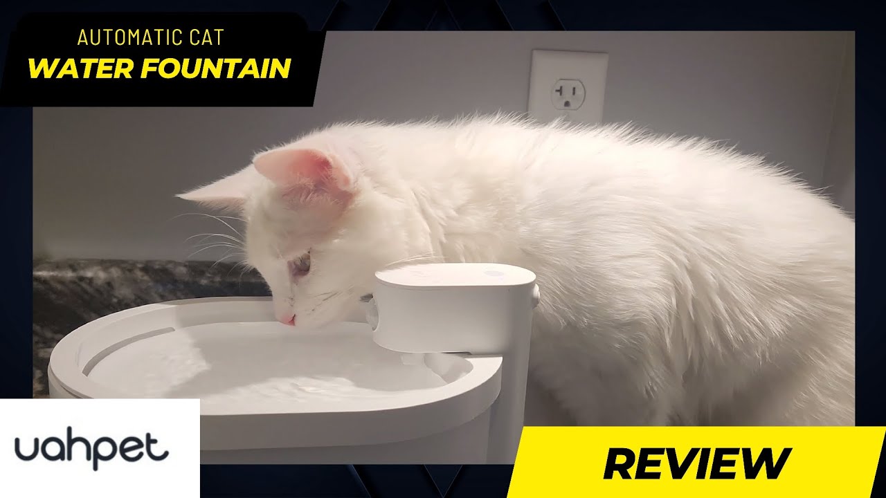 Unboxing and Review: Uahpet Wireless & Battery Operated Cat Water Fountain