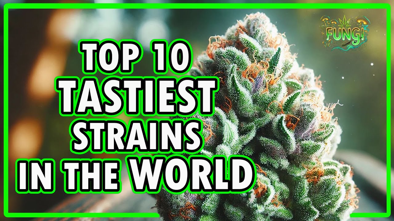 🌿🔥 Breaking: Top 10 Tastiest Weed Strains of 2025! 🍬🍓🍋| FUNGI Co News🍃✨