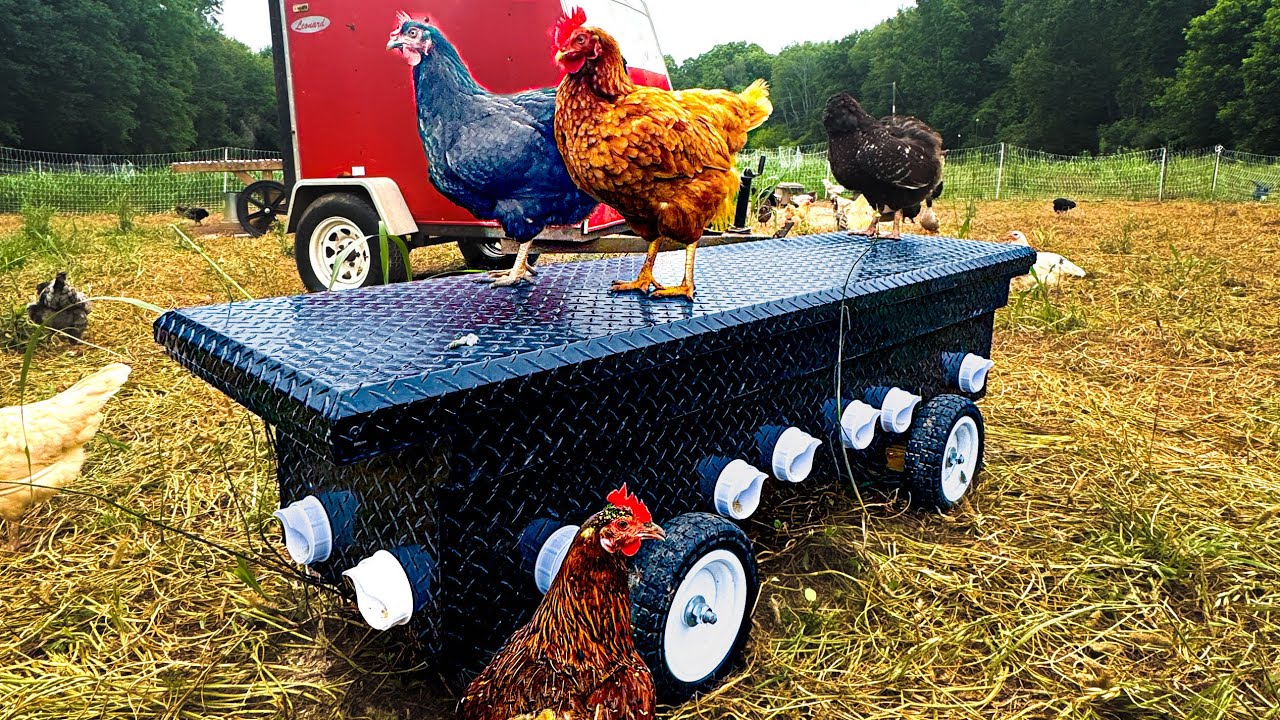 The Ultimate Mobile DIY Chicken Feeder for Pastured Chickens