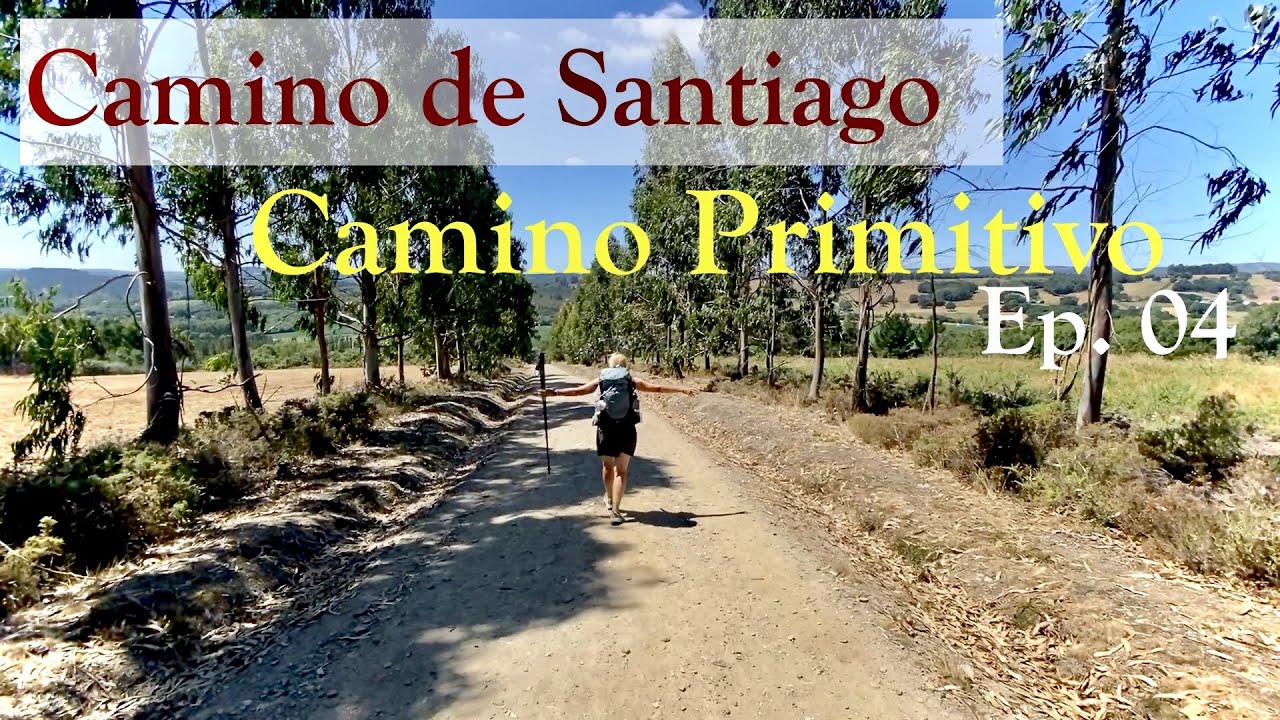 Camino Primitivo I Ep 4: Lugo  to Santiago de Compostella