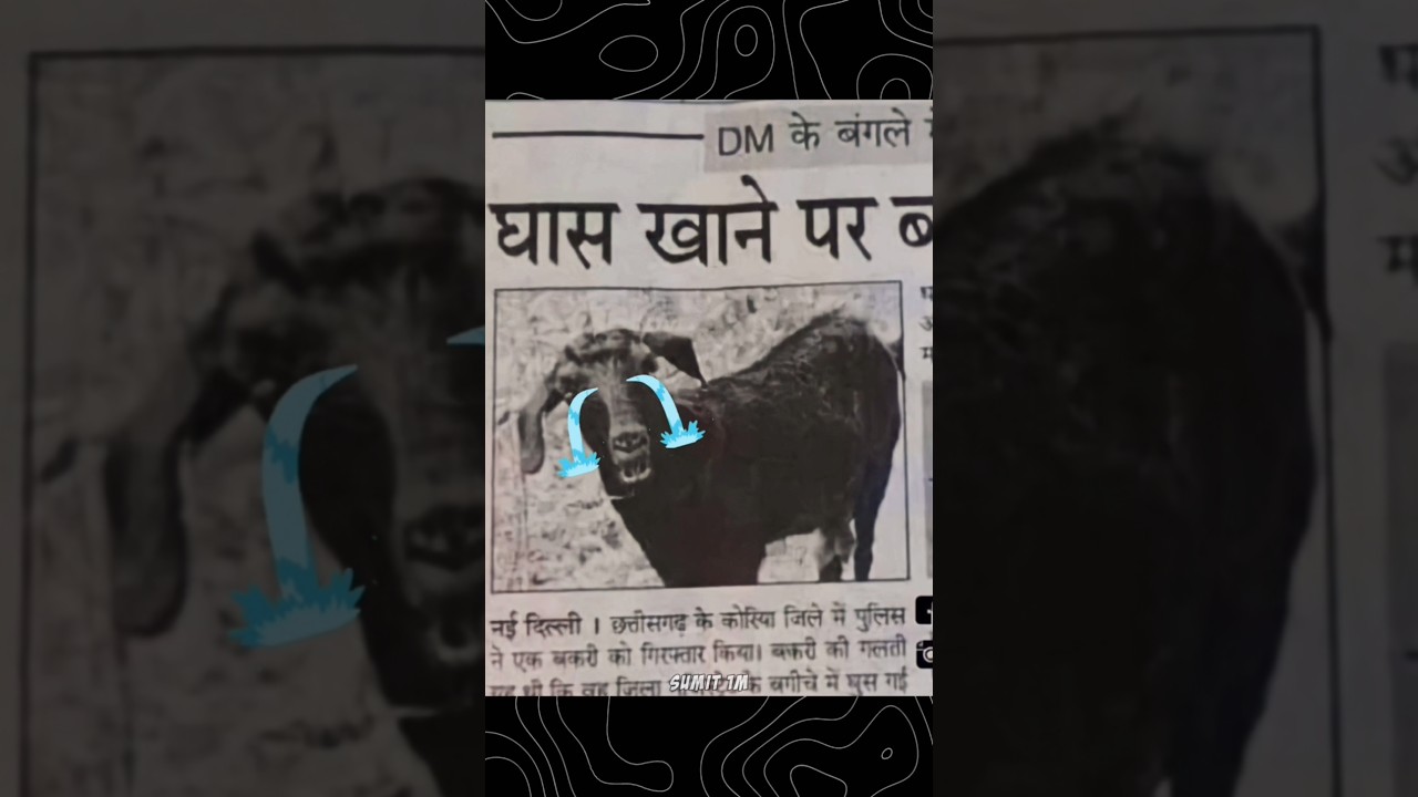 NEWSPAPER FUNNY NEWS 😂