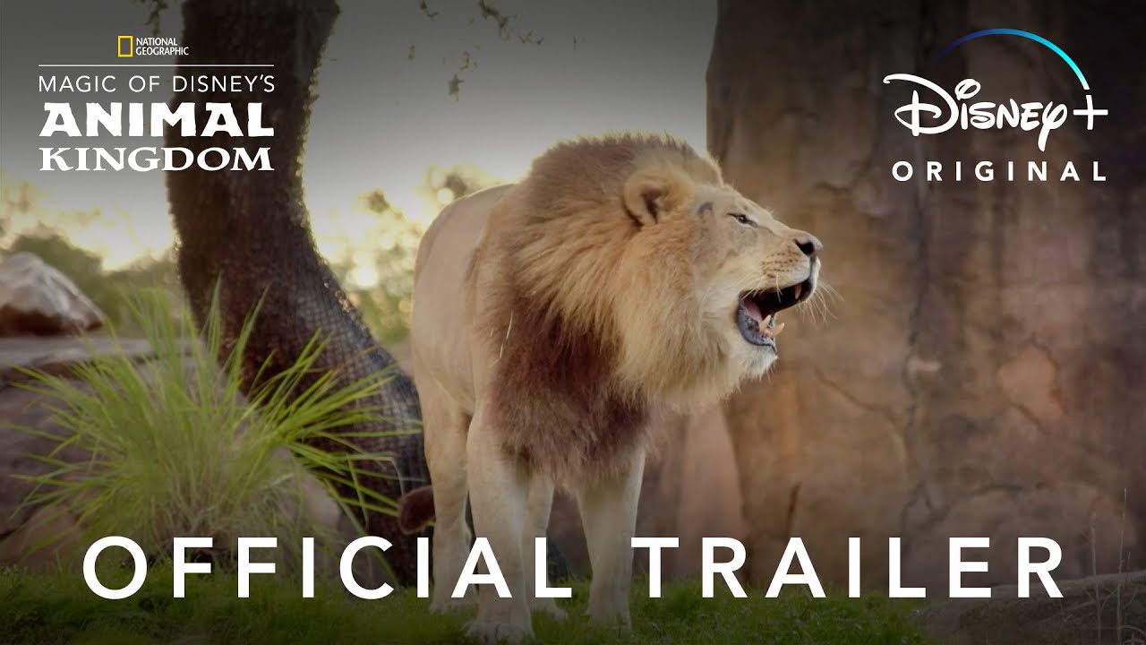 Magic of Disney's Animal Kingdom | Official Trailer | Disney+
