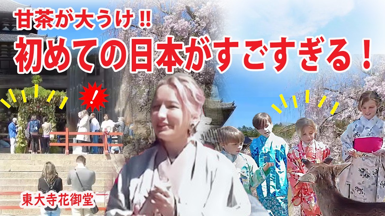 【花御堂に外国人が殺到!!】初めての日本！奈良 東大寺 大仏さまのお誕生日！花祭りに外国人殺到!!甘茶かけ大人気！#japan  #nara  #deer #park