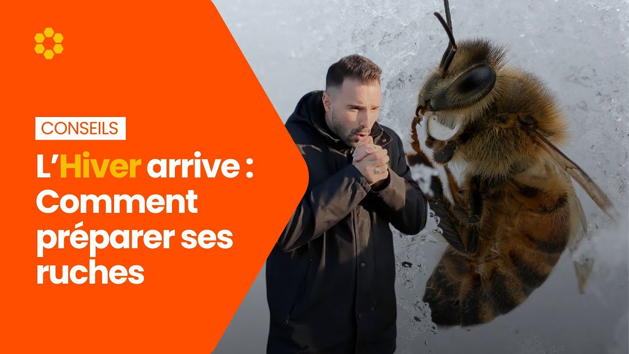 Préparez vos ruches pour l'hiver avec les conseils de notre expert Guillaume ! 🐝