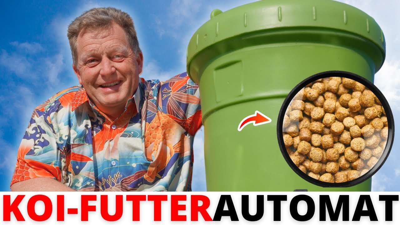 Koi-F&uuml;tterung XXL: 40 kg Koi-Futter per Automat!