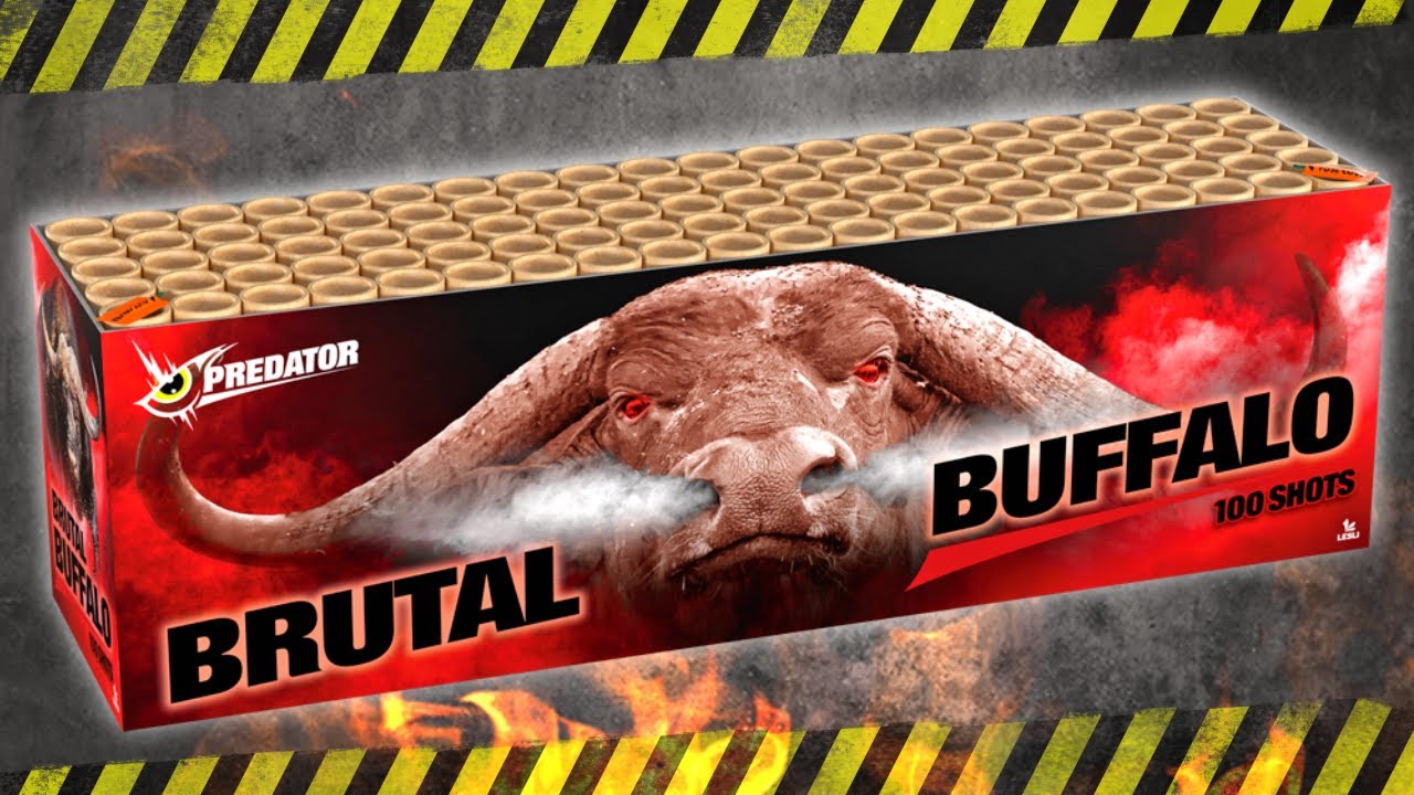 Brutal Buffalo - Showboxes - Lesli Fireworks - 04498