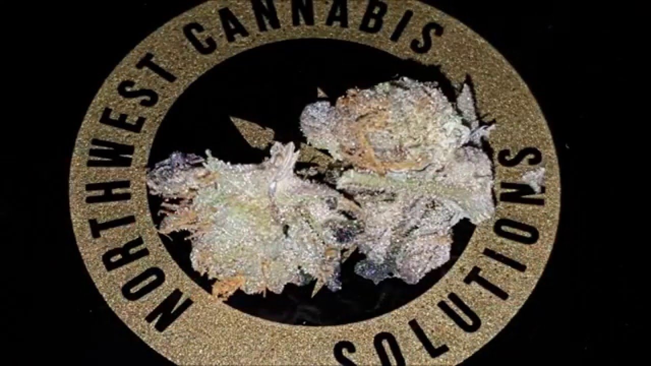Strain Review - Cookies !!