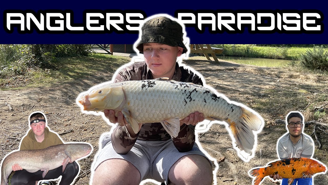 Anglers Paradise Fishing (Carp, Koi and Catfish!)