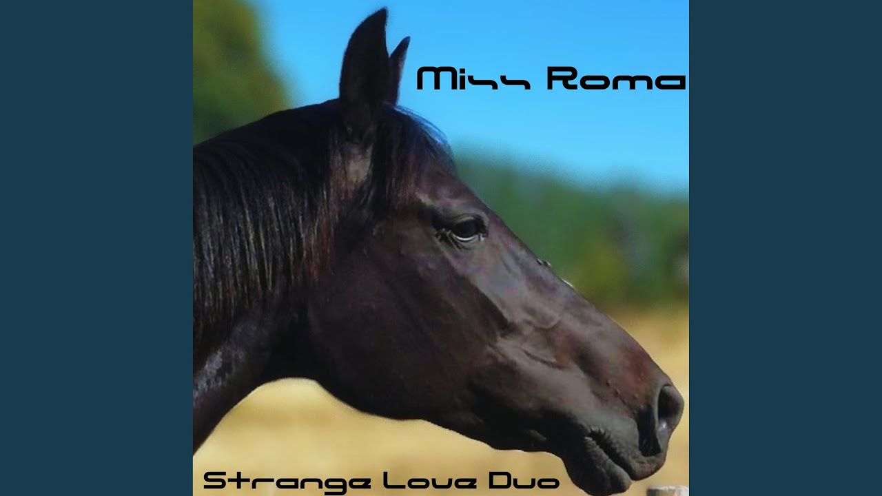 Miss Roma (Droga konia, cz. 2)