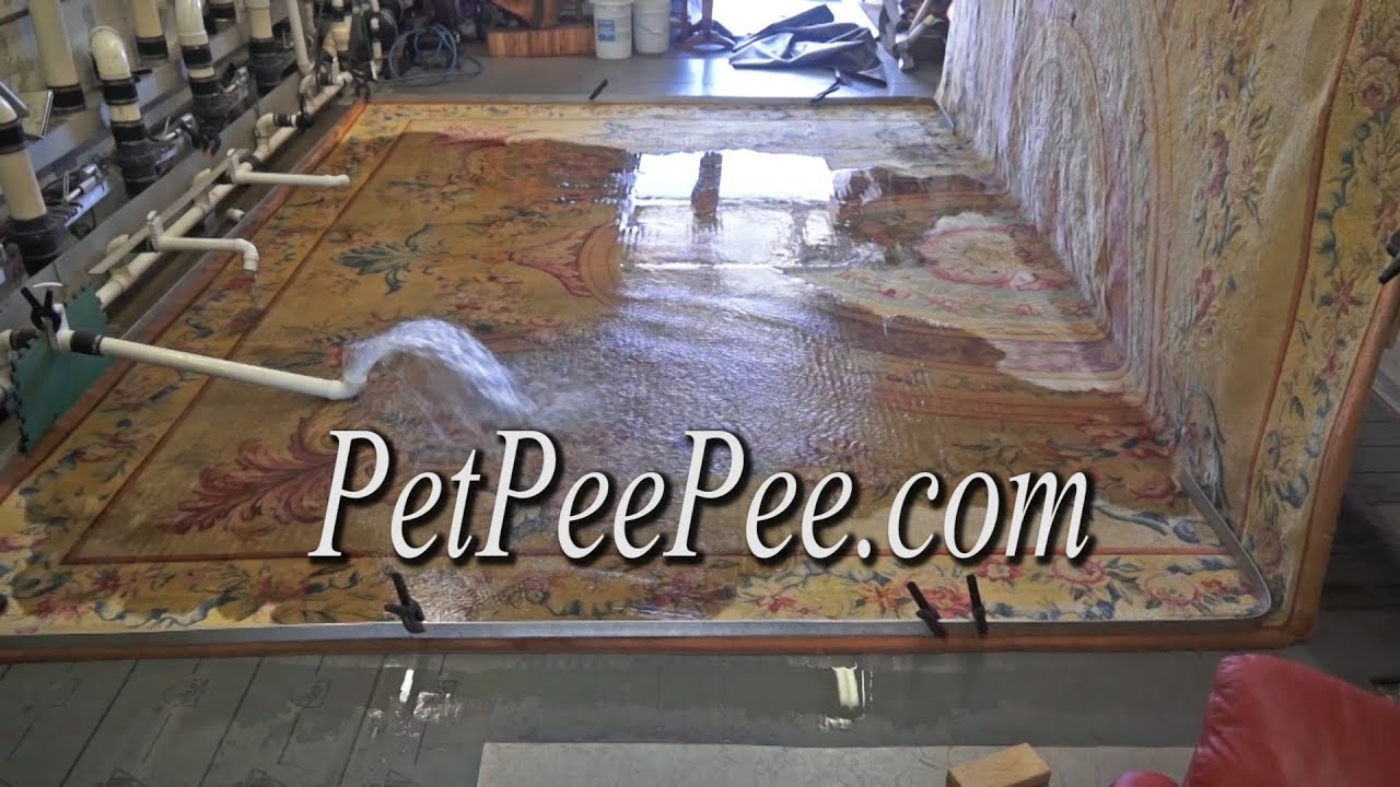 PetPeePee company-Show me the pee-pee before and after Oriental rug cleaning