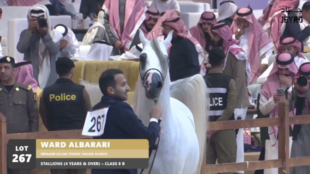 WARD ALBARARI