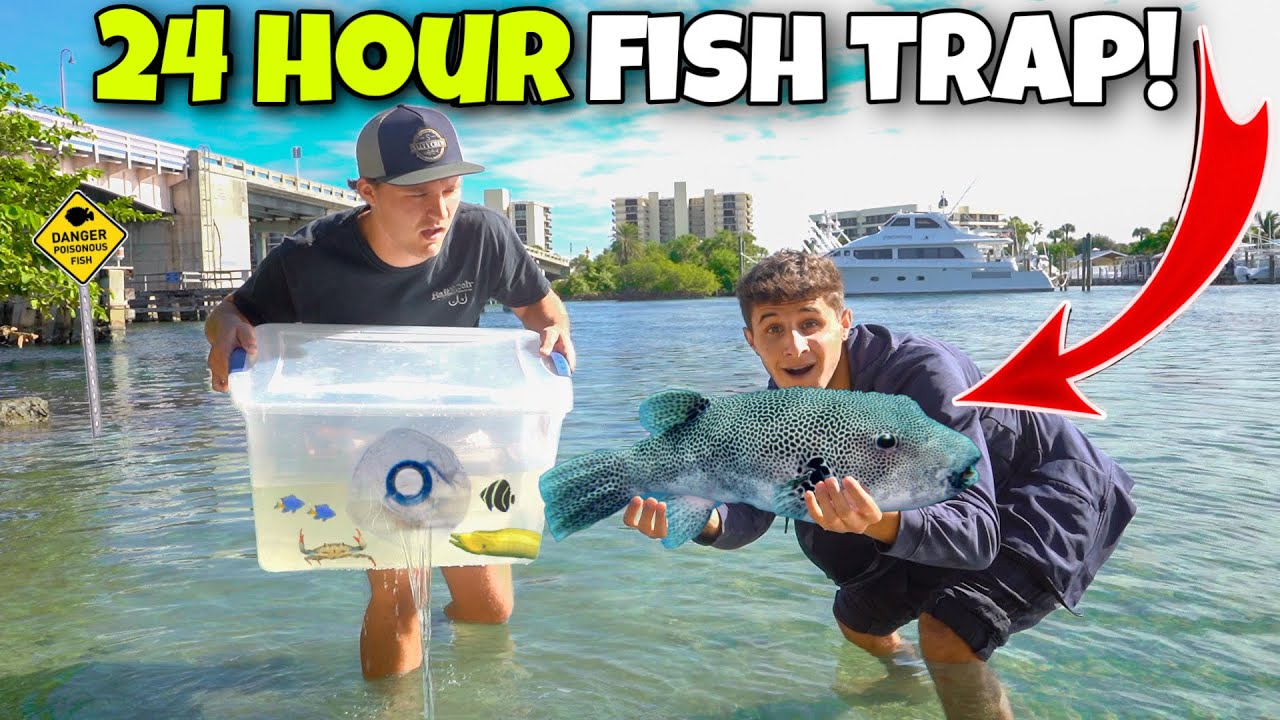 24 HOUR FISH TRAP Catches EXOTIC PUFFER FISH!!