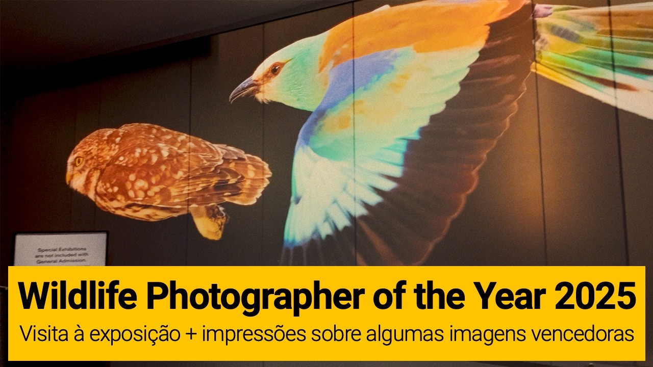 Wildlife Photographer of the Year 2025: visita à exposição e comentários