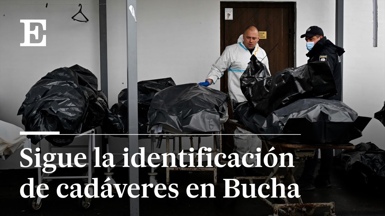 Ucrania: vecinos de Bucha intentan identificar a sus familiares en la morgue | EL PAÍS