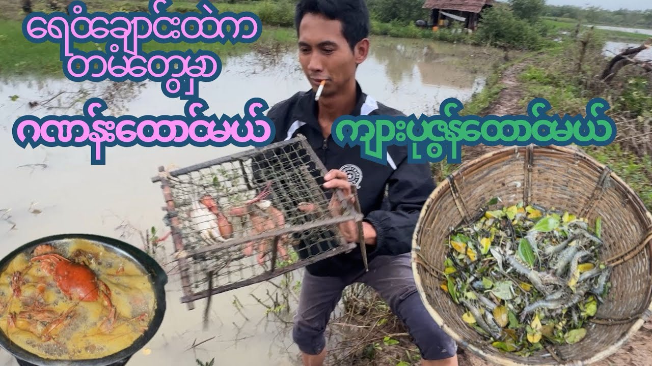 Catching Tiger Shrimp & Crabs with Trap Nets. ဟိုင်းကြီးကျွန်းကတမံတွေမှာ ဂဏန်းထောင်မယ်။ကျားထောင်မယ်