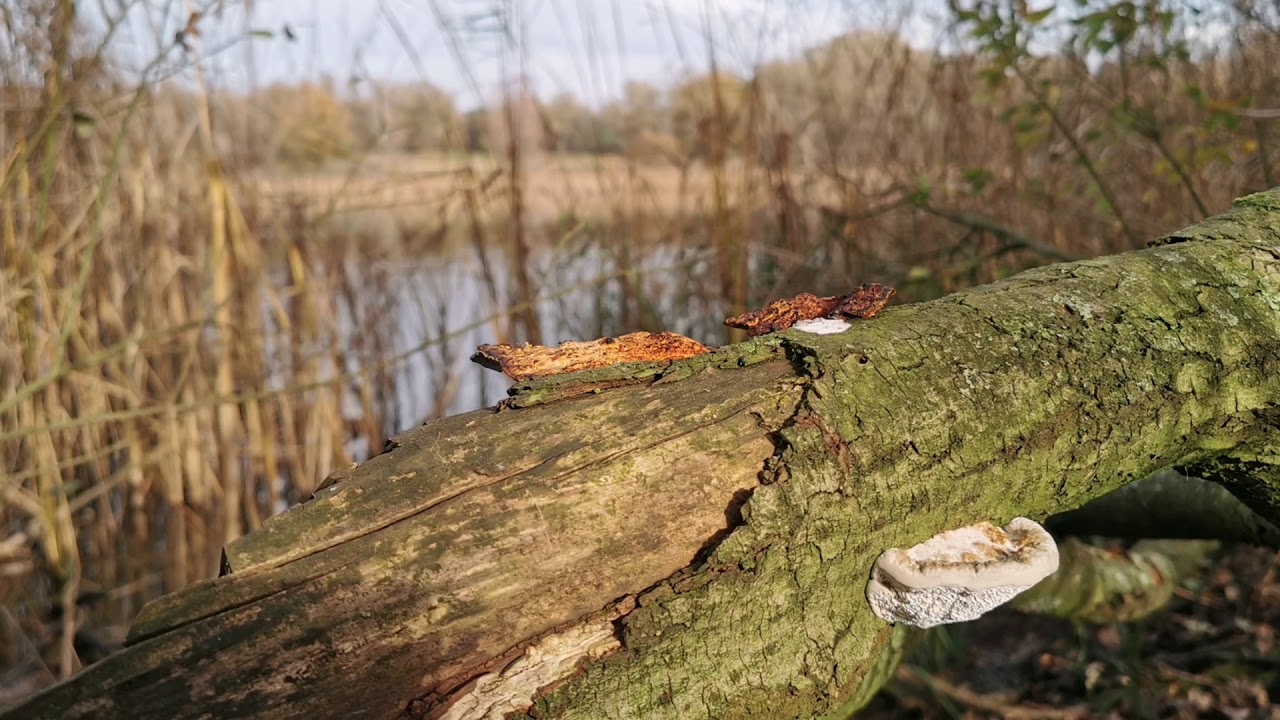 Uddelermeer en omgeving - Uddel - gemeente Apeldoorn