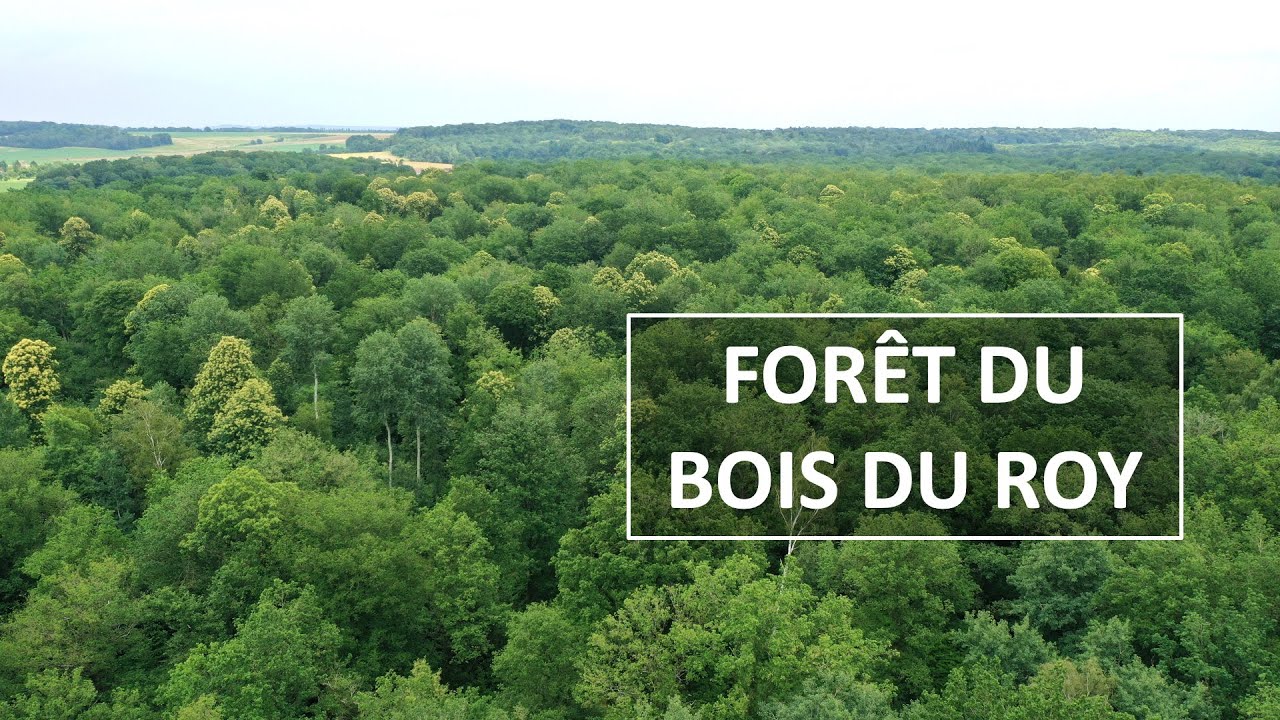 Massif forestier à vendre, 180 hectares au Nord de Paris
