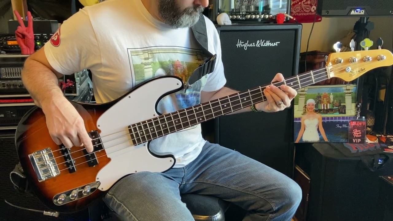 Trippin' On A Hole In A Paper Heart [STP] Bass Cover