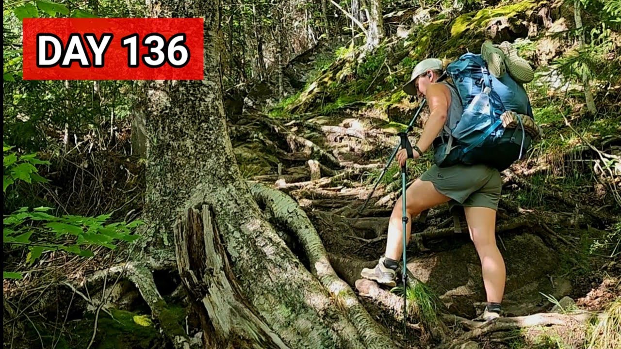День 136: Мать всех ПУД