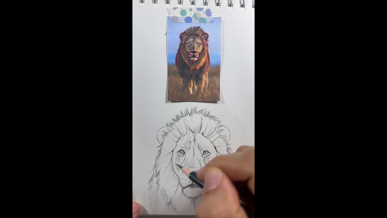 Cómo dibujar un León ✍️