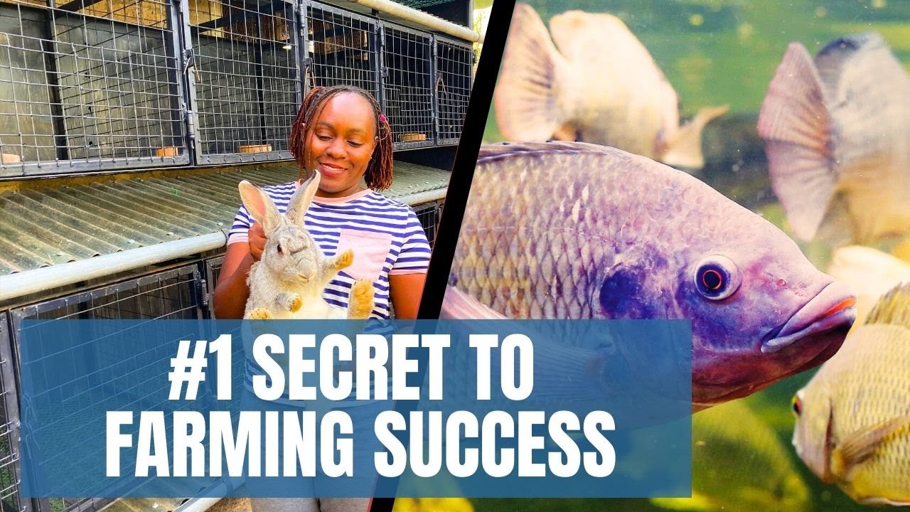 The #1 Secret to Farming Success: Learn Before You Start 🌱🐓🥬