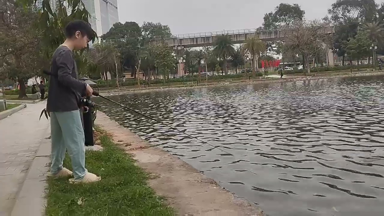 C&acirc;u c&aacute; mồng 6 tết 3