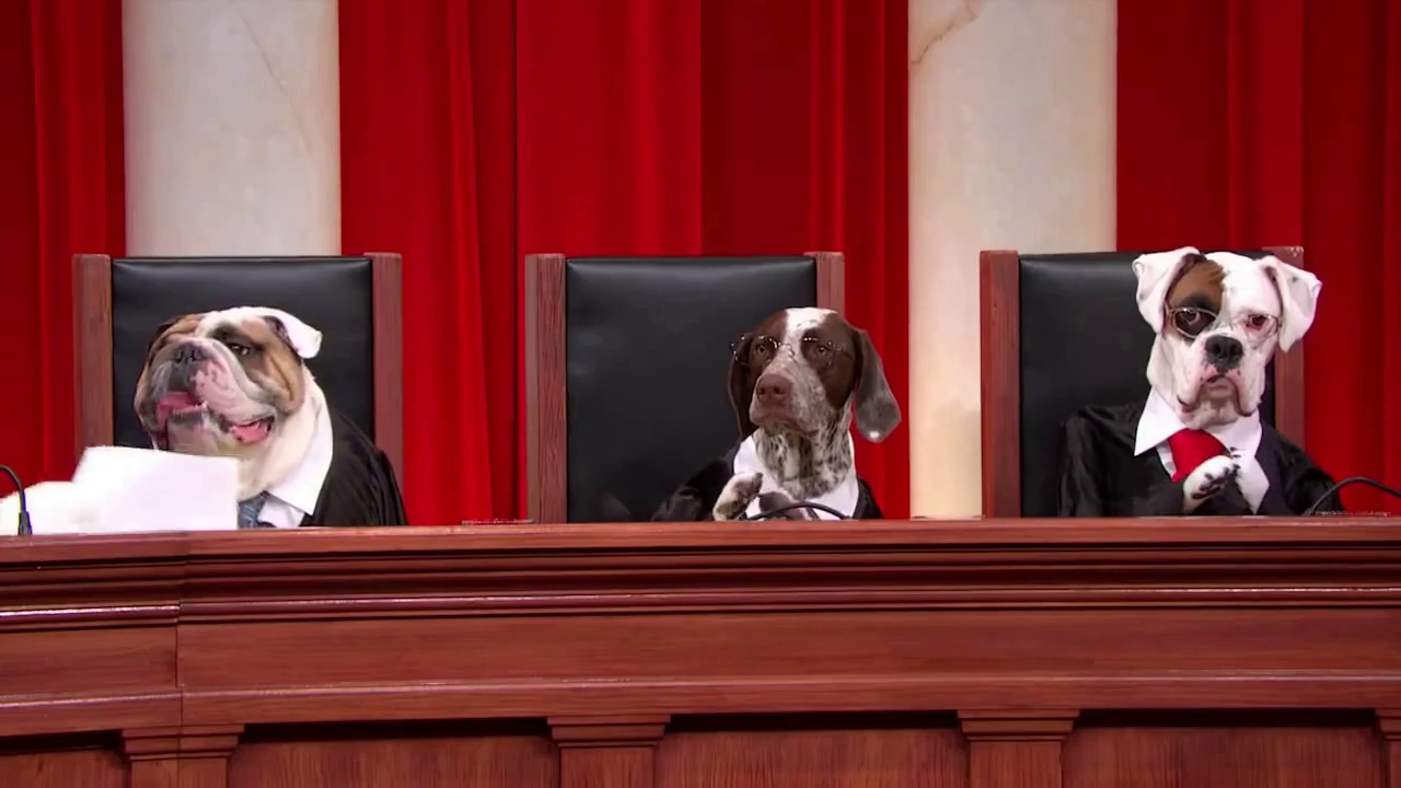 Turner v. United States: Oral Argument - March 29, 2017