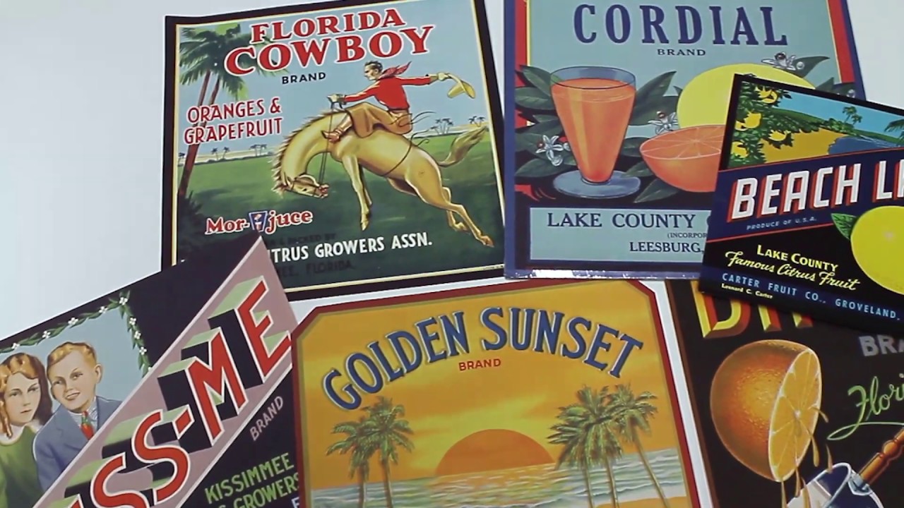 From the Collection: Florida's Citrus Industry