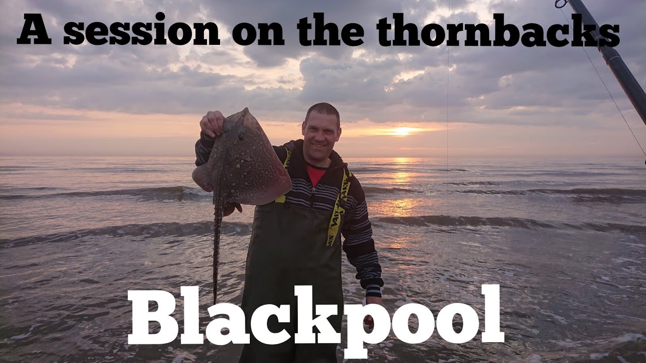 thornback Ray  fishing blackpool