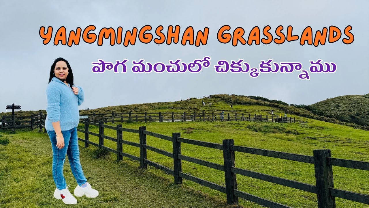 యాంగ్మింగ్షాన్ Grasslands| పొగ మంచుల్లో చిక్కుకున్నాం| #yangmingshan #exploretaiwan #viralvideo