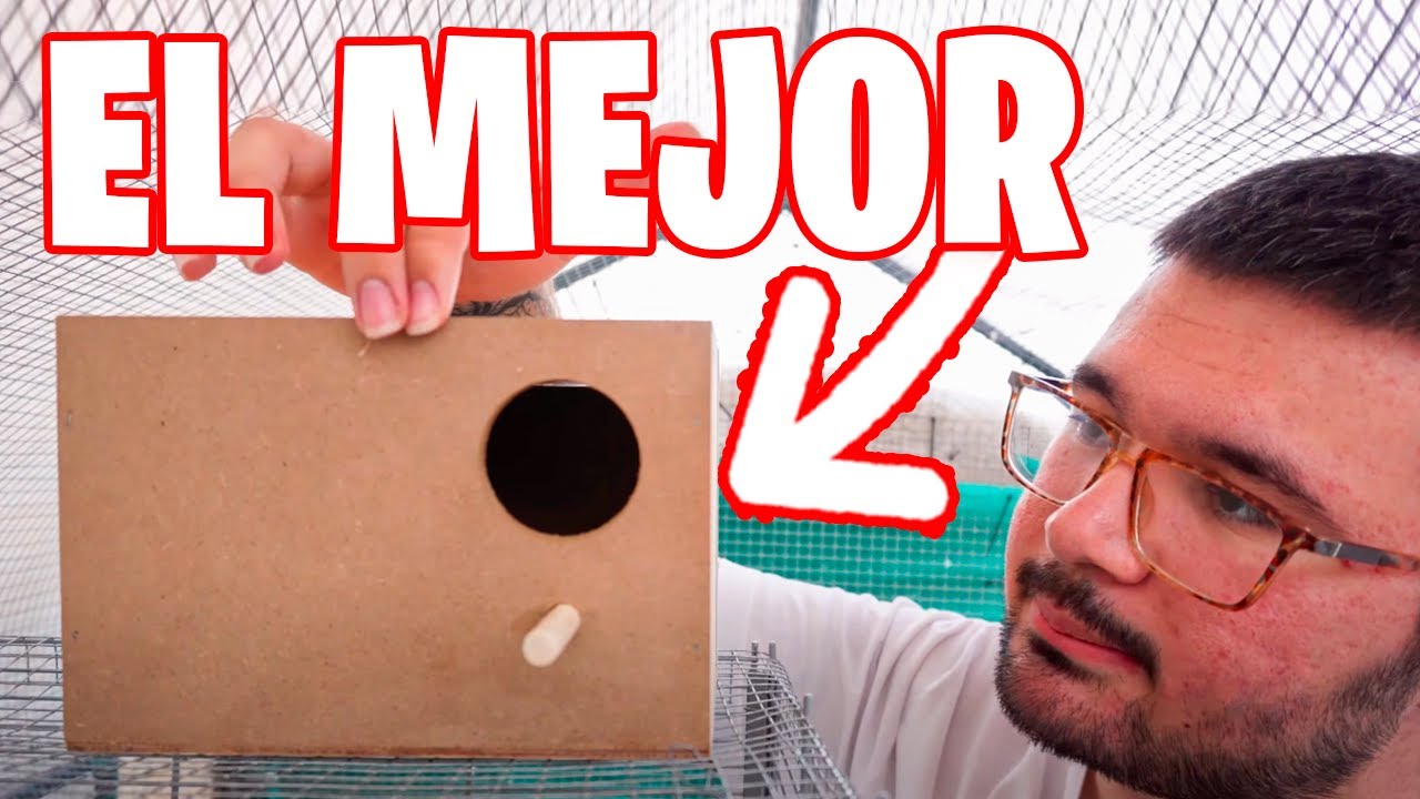 EL MEJOR NIDO PARA REPRODUCIR PERIQUITOS