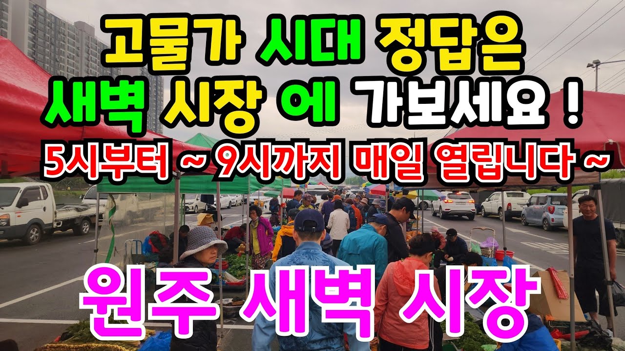 직접키운 산나물 채소 야채값이 싸기로 소문난 원주 새벽 시장 을 찿아 가보았습니다