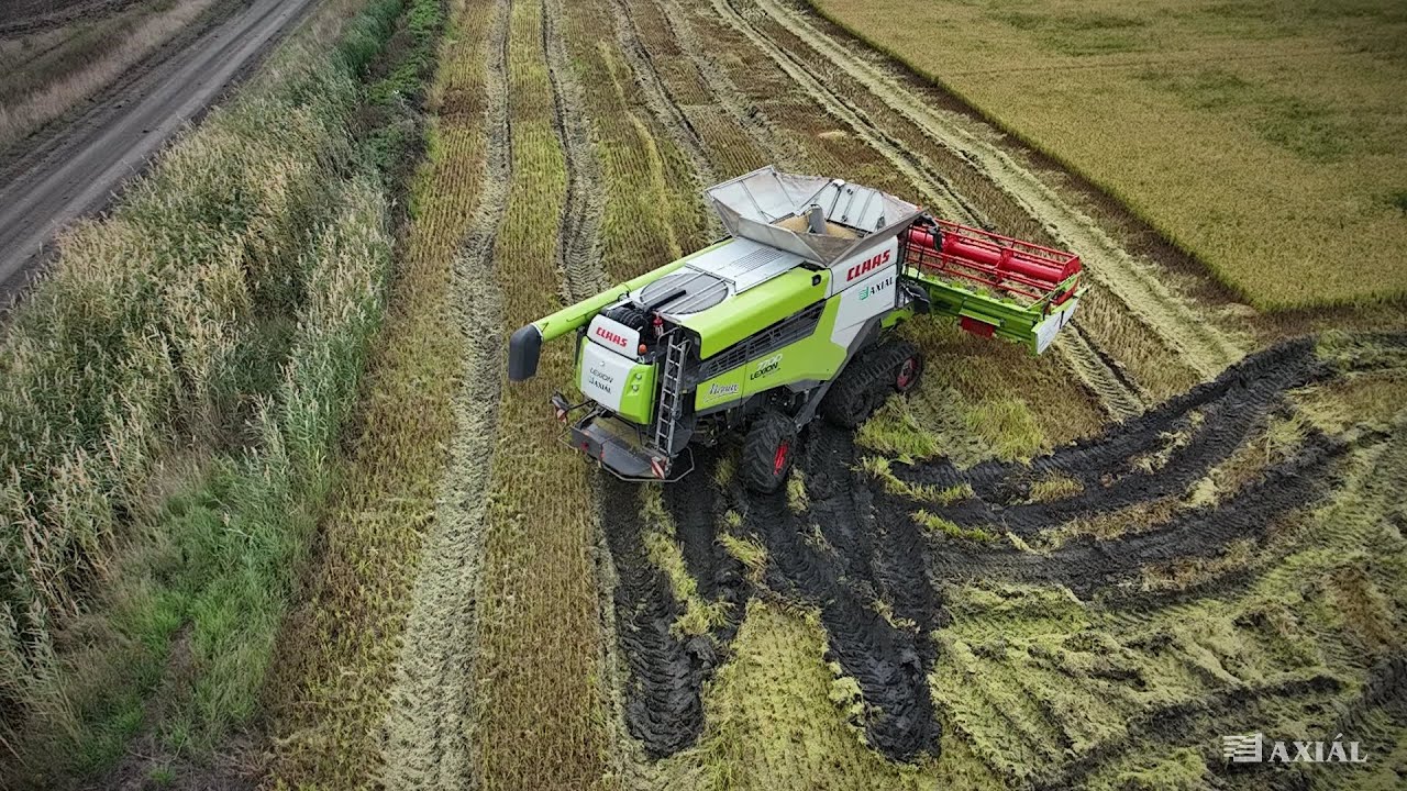 CLAAS LEXION 7700 TT Уборка риса