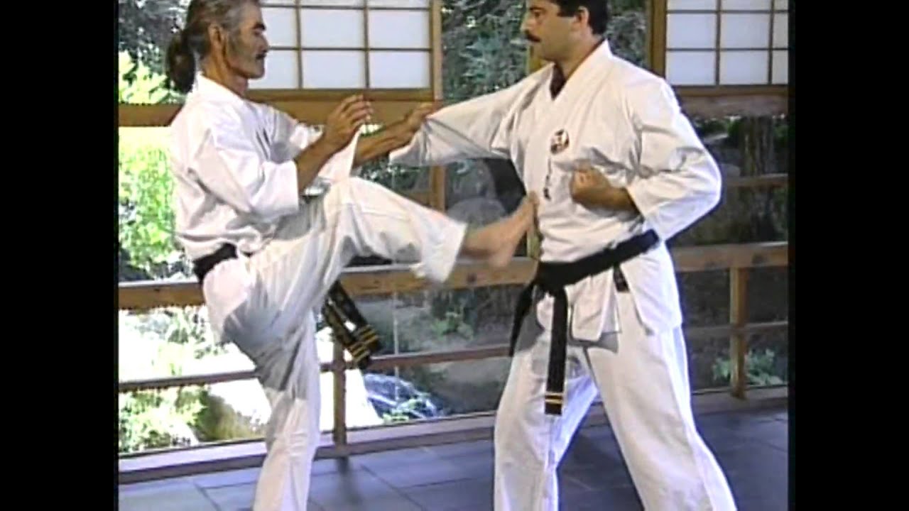 Uechi-ryu combat strategy