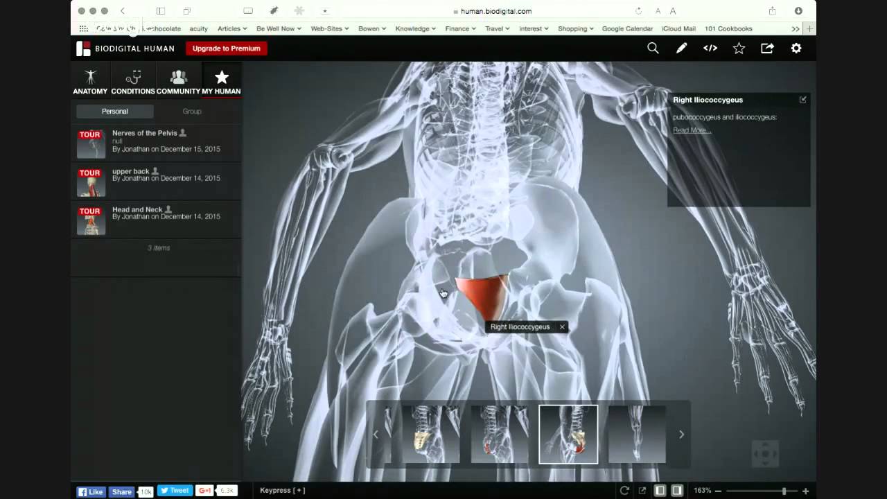 The Anatomy Behind the Effects of Bowen Therapy